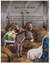 Load image into Gallery viewer, Complete Illustrated Children's Bible