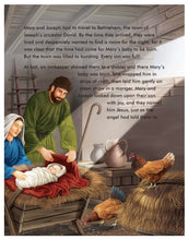Load image into Gallery viewer, Complete Illustrated Children's Bible